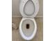 Clean toilet in a bathroom at 10929 Premier Ave, Port Richey, FL 34668