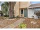 Townhome's front entrance with walkway, landscaping, and large tree at 4712 Stonepointe Pl, Tampa, FL 33634