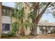 Tan townhome with green door, palm trees, and large tree in front at 4712 Stonepointe Pl, Tampa, FL 33634
