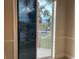View from balcony showcasing palm trees and community at 6734 Dali Ave # 206, Land O Lakes, FL 34637