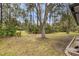 Large backyard with mature trees and grassy area at 7633 Deer Path Ln, Land O Lakes, FL 34637