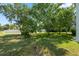 Large backyard with mature trees and a grassy area at 1005 Mizzen Ct, Tarpon Springs, FL 34689