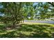 Spacious backyard with lush green grass and large shade trees at 1005 Mizzen Ct, Tarpon Springs, FL 34689
