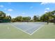 Well-maintained tennis courts for residents' enjoyment at 1005 Mizzen Ct, Tarpon Springs, FL 34689