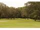 Rolling green golf course with lush trees and Spanish moss at 11243 Merganser Way, New Port Richey, FL 34654
