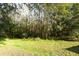 Spacious backyard with lush trees and grassy area at 4634 Mapletree Loop, Wesley Chapel, FL 33544