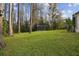 Large backyard with a shed and mature trees at 10200 Casey Dr, New Port Richey, FL 34654