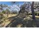 Open grassy area with large oak trees at 10901 Pinto Dr, Hudson, FL 34669