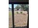 View of backyard with mature trees and shrubs at 11203 Pembridge Ct # 1, Port Richey, FL 34668