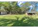 Large backyard with lush green grass and storage shed at 23051 Lake Lindsey Rd, Brooksville, FL 34601