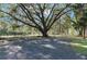 Gravel driveway leading to the house, shaded by a large oak tree at 23051 Lake Lindsey Rd, Brooksville, FL 34601