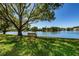 Peaceful lakeside bench under a large shade tree at 4426 Pelorus Dr # 4426, New Port Richey, FL 34652