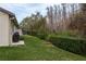 Private backyard with grassy area, hedge, and a grill at 9639 Conservation Dr, New Port Richey, FL 34655