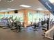 Fitness center with cardio and weight equipment at 12219 Arron Ter, Trinity, FL 34655