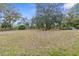 Large backyard with mature trees and open space at 14455 Chimney Swift Rd, Weeki Wachee, FL 34614