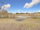 Backyard view with pond and natural landscape at 18923 Rolling Oak Dr, Hudson, FL 34667