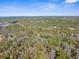 Wide aerial view of a rural landscape with scattered homes at 22770 Skyview Cir, Brooksville, FL 34602