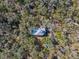 Overhead view showcasing the house and pool at 22770 Skyview Cir, Brooksville, FL 34602