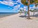 White sand beach with palm trees, picnic tables, and blue chairs at 4430 Floramar Ter, New Port Richey, FL 34652