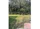 Spacious backyard with grassy area, bird bath, and fenced pet area at 8129 Ambersweet Pl, Land O Lakes, FL 34637