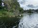 Lake view with lush vegetation and houses at 11743 Purdue St, New Port Richey, FL 34654