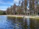 Scenic lakefront view with sandy beach and lush trees at 11743 Purdue St, New Port Richey, FL 34654