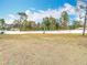 Large, fenced backyard with mature trees, offering privacy at 12312 Millington Ave, Weeki Wachee, FL 34614