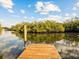 Wooden dock on calm water with lush mangrove trees at 2013 Gulfview Dr, Holiday, FL 34691
