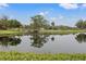Serene pond with a wooden bridge and lush greenery at 4412 Lake In The Woods Dr, Spring Hill, FL 34607