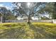 Spacious backyard with a large tree providing shade and privacy at 609 Salt Lake Dr, Tarpon Springs, FL 34689