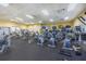 State-of-the-art fitness center with various cardio and strength training equipment at 8424 Bluevine Sky Dr, Land O Lakes, FL 34637