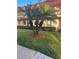 Mature palm trees and manicured lawn in front of building at 108 Lakeside Dr, Oldsmar, FL 34677