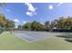 Two well-maintained tennis courts with nets, ready for a game at 11030 Linkside Dr # 11030, Port Richey, FL 34668