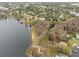 Aerial view of lakefront homes and a wooded area at 13721 Mill Pl, Odessa, FL 33556
