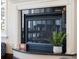 Modern fireplace with granite surround and plant decor at 5287 Tuna Ln, Weeki Wachee, FL 34607