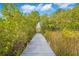 Wooden boardwalk path through lush vegetation leading to waterfront property at 8711 Betty St, Port Richey, FL 34668