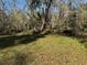 Lush vegetation and creek on property at 9741 Star Trl, New Port Richey, FL 34654