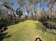 Lush vegetation and creek on property at 9741 Star Trl, New Port Richey, FL 34654