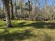 Lush vegetation and creek on property at 9741 Star Trl, New Port Richey, FL 34654