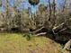Creek view with lush vegetation at 9741 Star Trl, New Port Richey, FL 34654