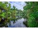 Serene river view with lush vegetation and calm waters at 10135 Zennia Ln, Parrish, FL 34219