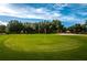 Scenic golf course with a vibrant green putting green, red flag, and sand trap at 1082 Dartford Dr, Tarpon Springs, FL 34688