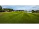 Expansive golf course view featuring a green landscape with ponds and residential homes at 1082 Dartford Dr, Tarpon Springs, FL 34688