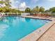 Refreshing community swimming pool with lounge chairs at 11830 Wax Myrtle Ct, New Port Richey, FL 34654