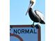 Beautiful view with bird standing atop Normal sign in the community at 13531 Allyn Dr, Hudson, FL 34667