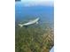 Dolphin swimming in the shallow water at 13531 Allyn Dr, Hudson, FL 34667