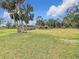 Expansive backyard with mature palm trees, perfect for outdoor activities at 14034 Water Tower Dr, Hudson, FL 34667