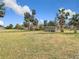 Wide open backyard with palm trees, shed, neighboring house and plenty of room to roam at 14034 Water Tower Dr, Hudson, FL 34667