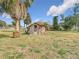 View of a wooden shed with a screen door, set in a grassy yard with palm trees and sunny skies at 14034 Water Tower Dr, Hudson, FL 34667
