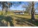 Spacious backyard with mature trees, offering a peaceful and private setting at 18104 Spencer Rd, Odessa, FL 33556